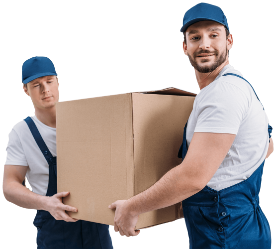 two-handsome-movers-transporting-cardboard-box-in-ER3BXQS.png two-handsome-movers-transporting-cardboard-box-in-ER3BXQS.png